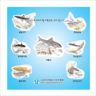 극세사손수건(전사)40x40cm