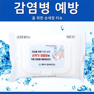 손세정 화이트 물티슈 캡형(20매)