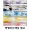 55 슈팅스타 eva 우산(반투명)
